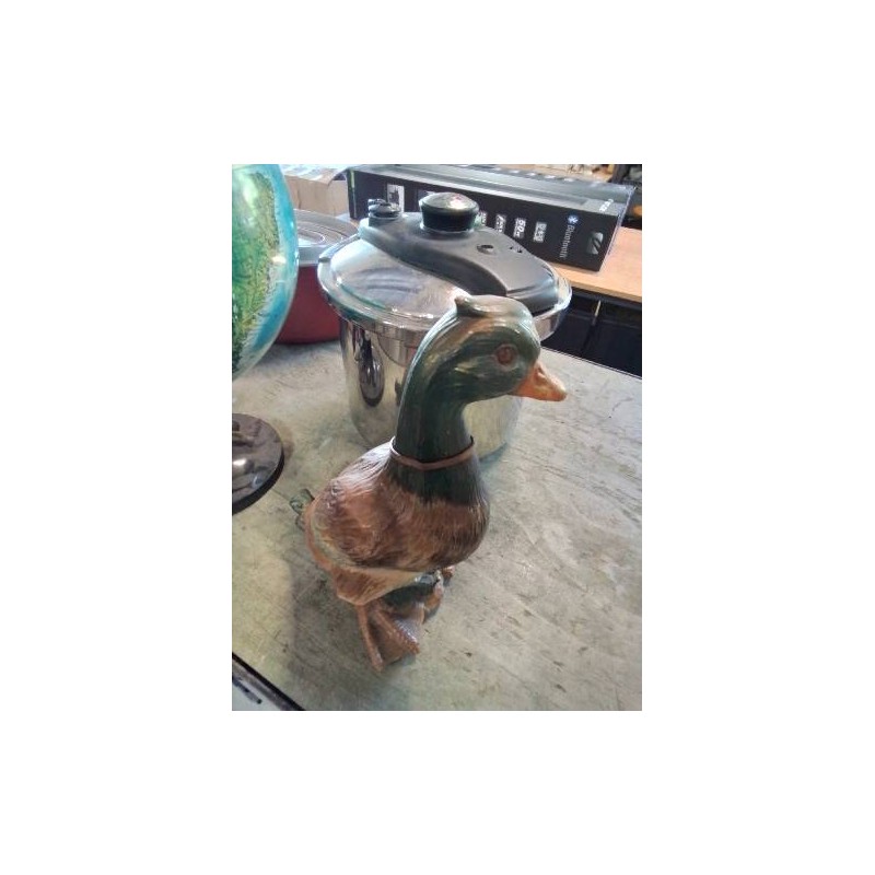 CANARD RÉSINE 