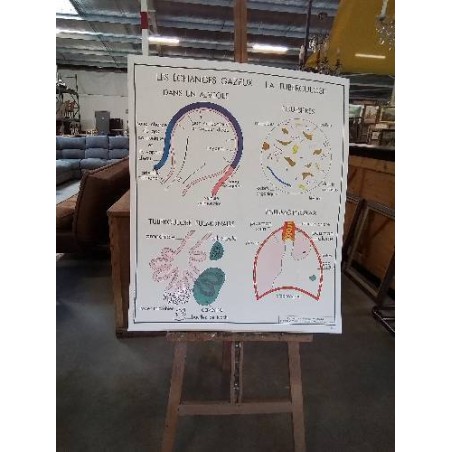 TABLEAUX DE SCIENCES ROSSIGNOL LES ECHANGES GAZEUX LA TUBERCULOSE LA RESPIRATION 78