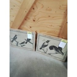TABLEAU HISTOIRE NATURELLE ORNITHOLOGIE