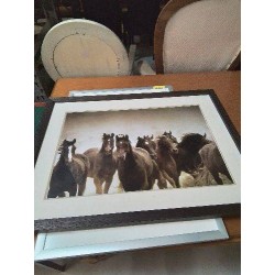 GRAVURE CHEVAUX 