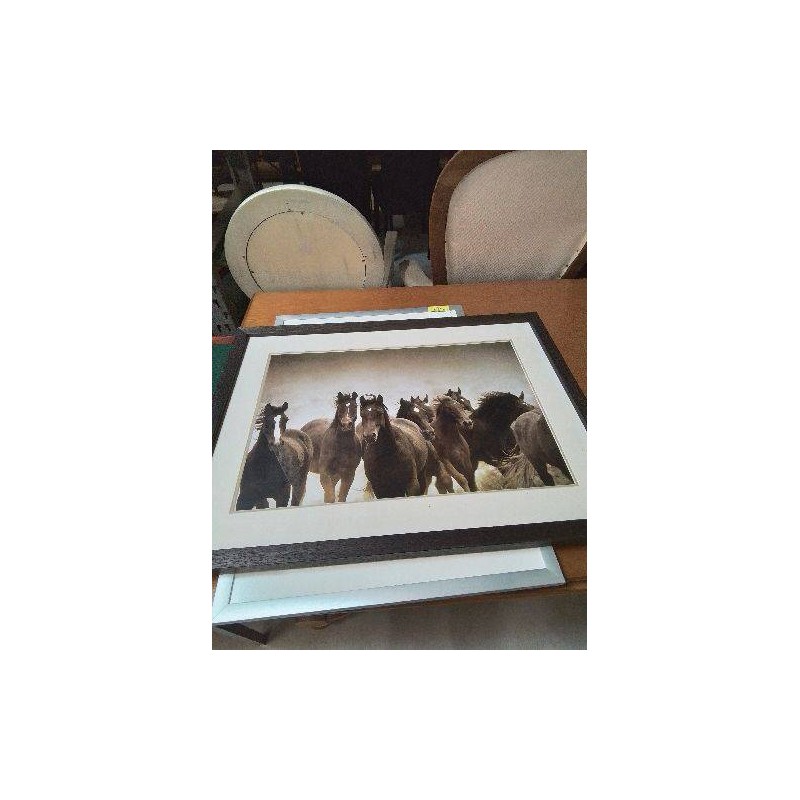 GRAVURE CHEVAUX 