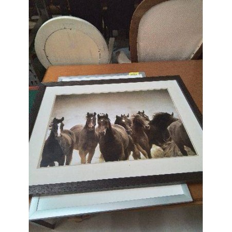 GRAVURE CHEVAUX 