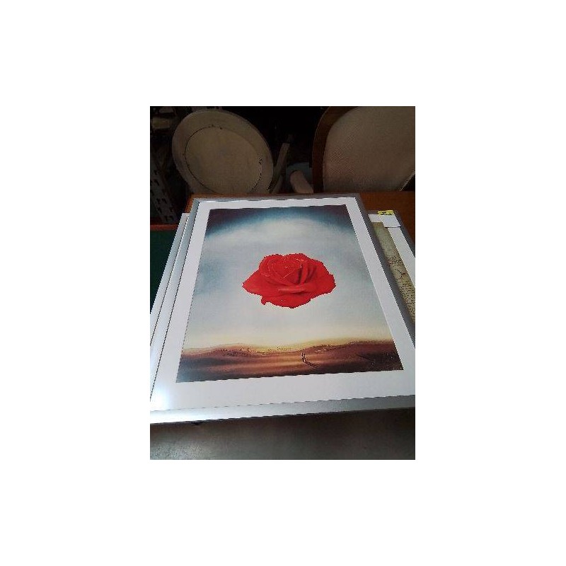 GRAVURE ROSE MEDITATIVE SALVADOR DALI