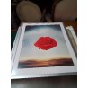 GRAVURE ROSE MEDITATIVE SALVADOR DALI