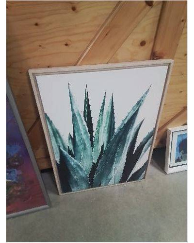 CADRE BOIS CLAIR CACTUS 