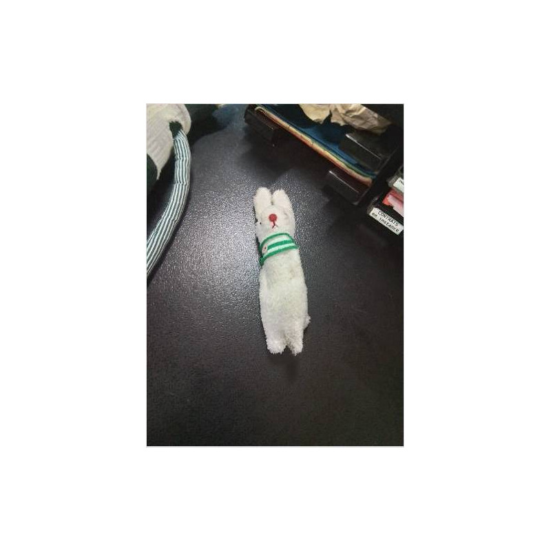 LAPIN BLANC 