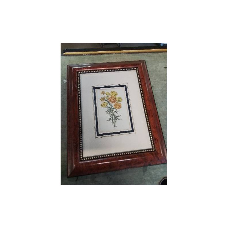 GRAVURE FLEURS TROBLIUS