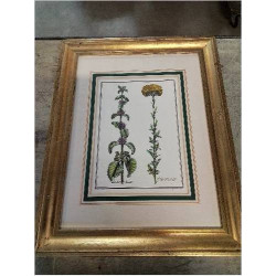 GRAVURE FLEURS CADRE...