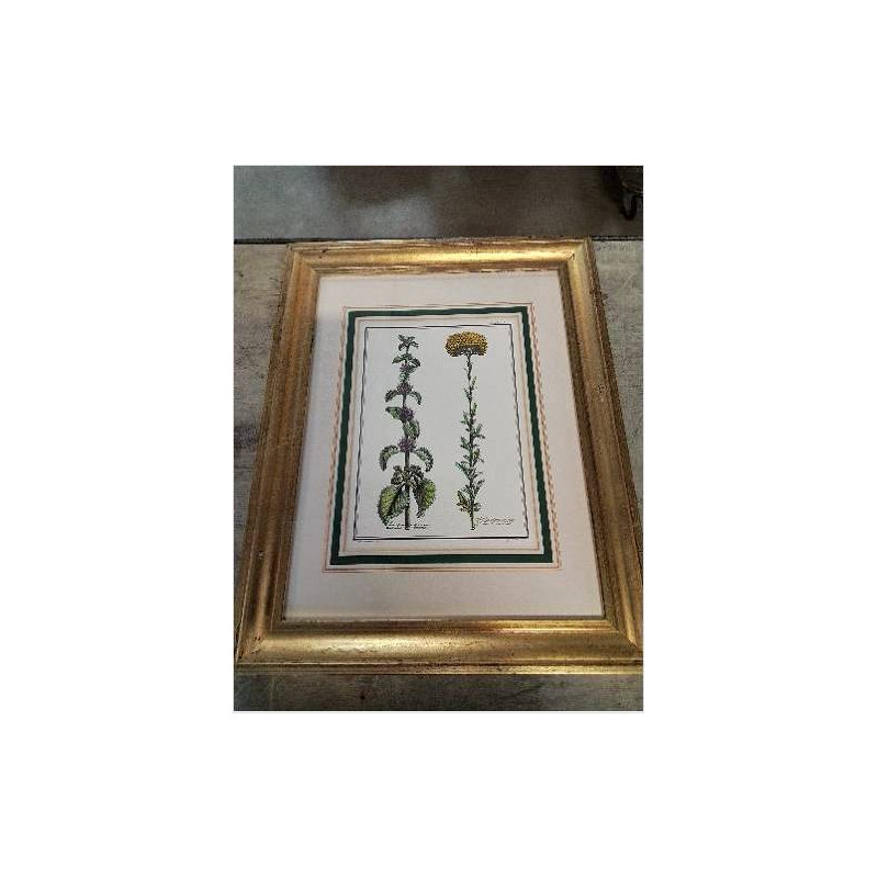 GRAVURE FLEURS CADRE MOULURÉ DORÉ 