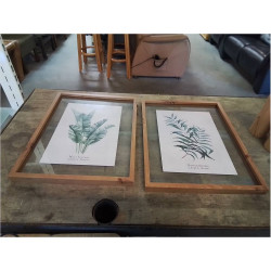 CADRE BOIS ET VERRE PLANTE