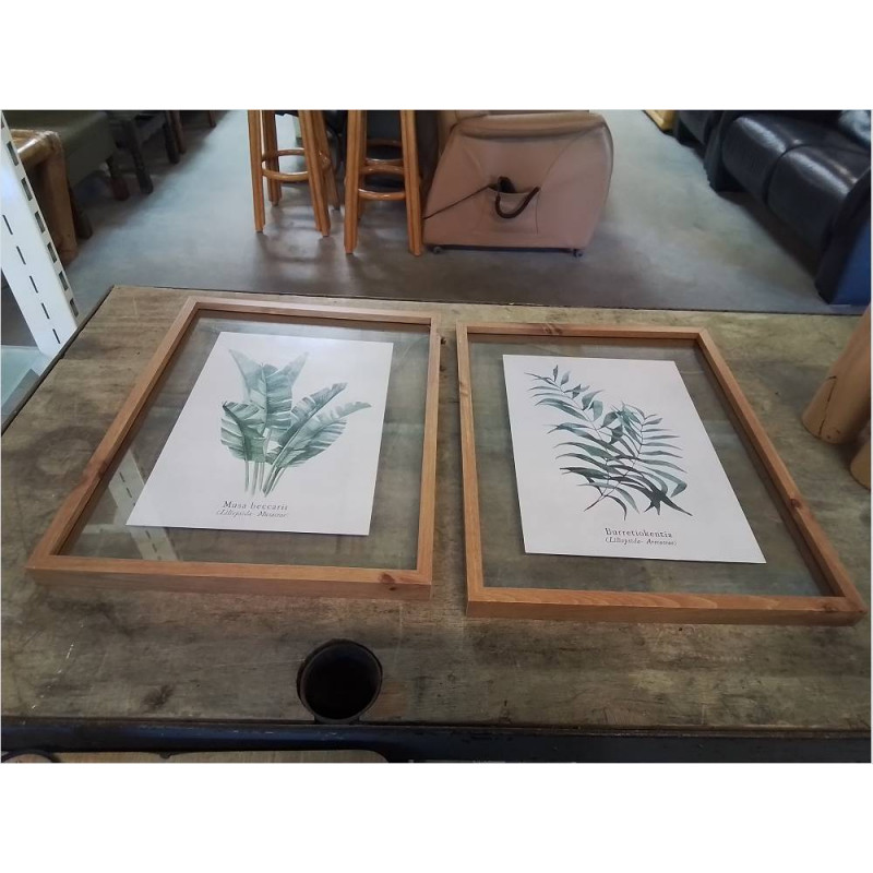 CADRE BOIS ET VERRE PLANTE