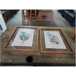 CADRE BOIS ET VERRE PLANTE