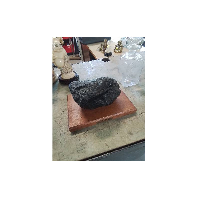 CHARBON DE LIEVIN FOSSILISÉ SOCLE BOIS