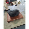 CHARBON DE LIEVIN FOSSILISÉ SOCLE BOIS