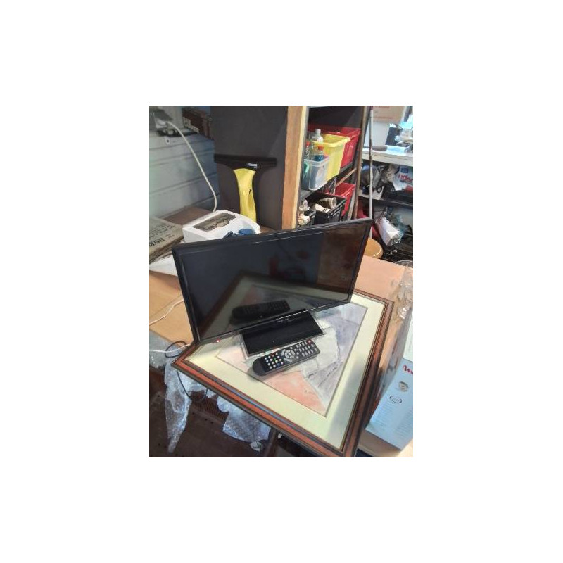 TV PROLINE 49,5CM