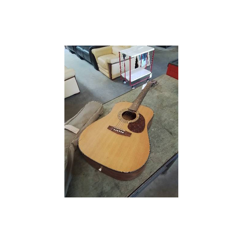GUITARE ACOUSTIQUE CORT EARTH-60NS
