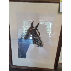 GOUACHE CHEVAL JEAN MARIE RIVET (XXE)