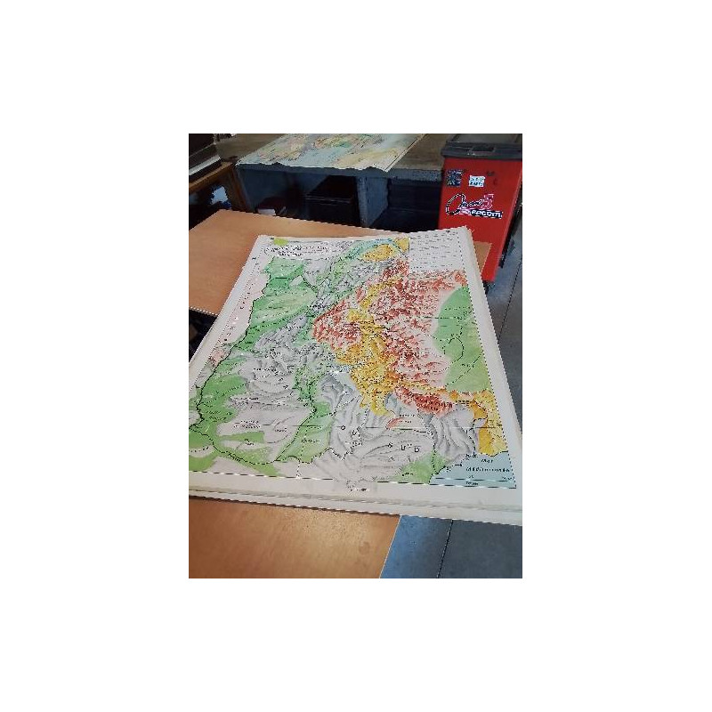 CARTE SCOLAIRE LES ALPES PAR VEYRET ET DERRUAU COLLECTION HENRI VARON  IMPRIMERIES MICHARD