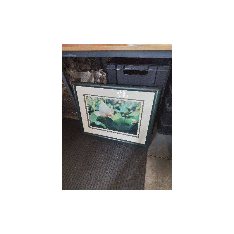 TABLEAU ROSE BLANCHE CADRE VERT