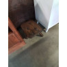 PORTE PLANTE RECTANGULAIRE TRIPODE BOIS 
