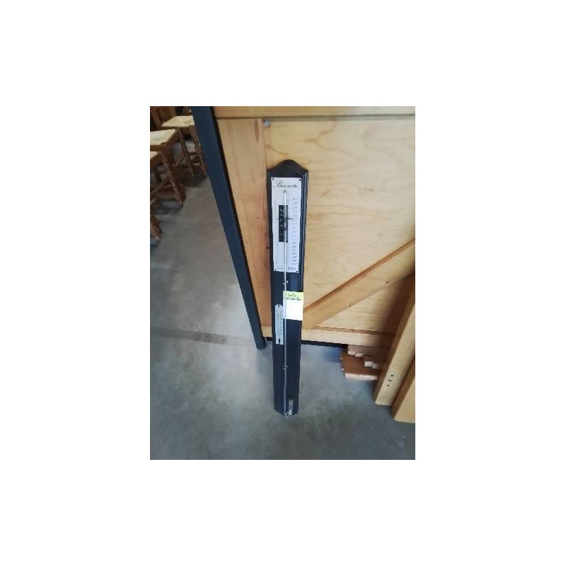 BAROMÈTRE THERMOMÈTRE SELON TORRICELLI 