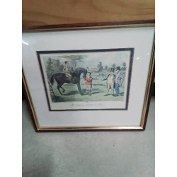 GRAVURE ERCLES MR SPONGE 