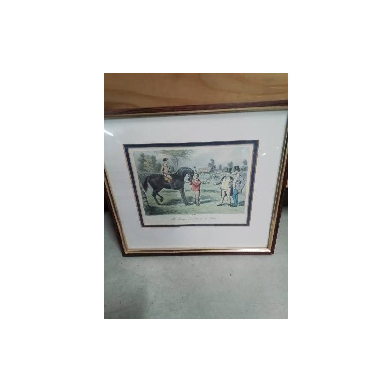 GRAVURE ERCLES MR SPONGE 