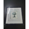 LITHOGRAPHIE  ARBRE PHILIPPE TURPIN XXE  XXIE 11X10