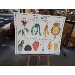 TABLEAUX DE SCIENCES...