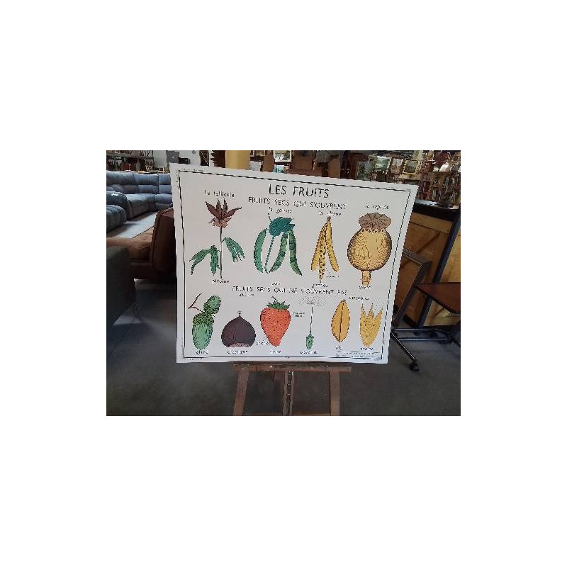 TABLEAUX DE SCIENCES ROSSIGNOL LES FRUITS LA GRAINE 910