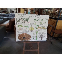 TABLEAUX DE SCIENCES ROSSIGNOL RACINES ADVENTIVES LES TIGES 34