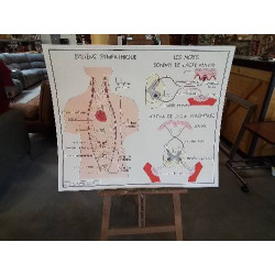 TABLEAUX DE SCIENCES...