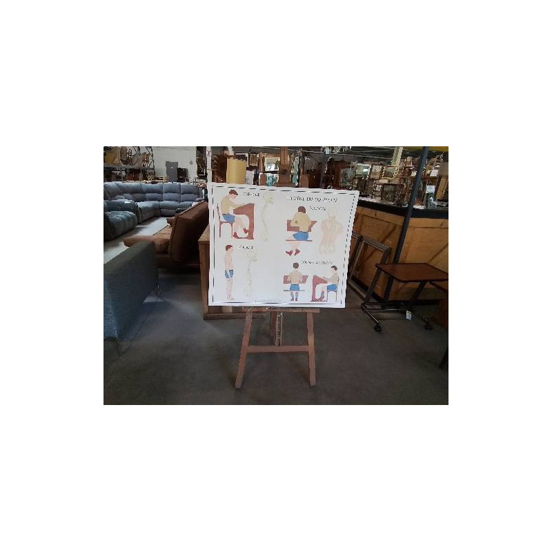 TABLEAUX DE SCIENCES ROSSIGNOL HYGIÈNE DU SQUELETTE LES MUSCLES 1314