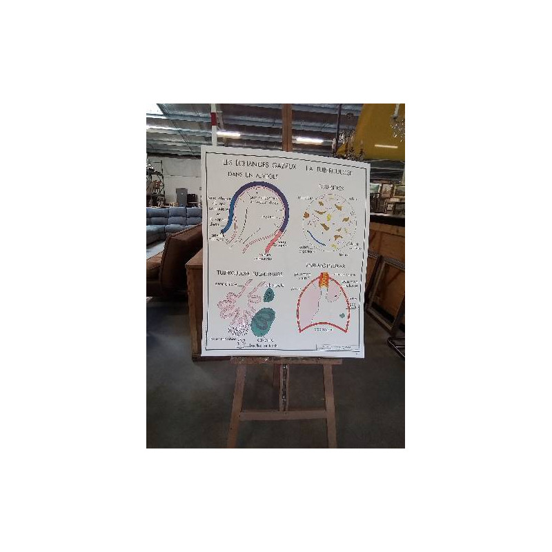TABLEAUX DE SCIENCES ROSSIGNOL LES ECHANGES GAZEUX LA TUBERCULOSE LA RESPIRATION 78