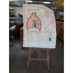 TABLEAUX DE SCIENCES ROSSIGNOL LES ECHANGES GAZEUX LA TUBERCULOSE LA RESPIRATION 78