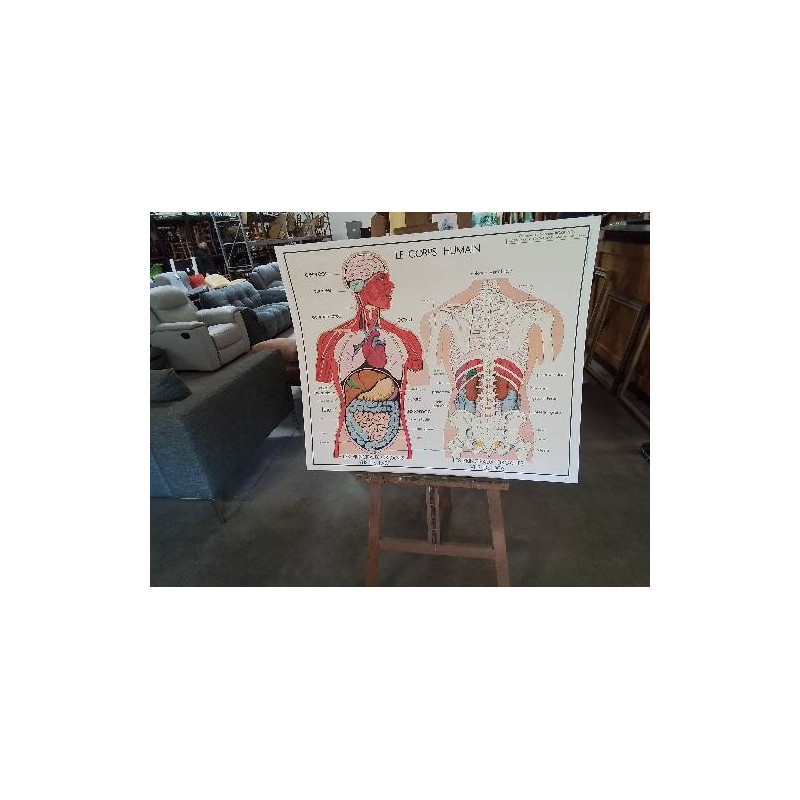 TABLEAUX DE SCIENCES ROSSIGNOL LE CORPS HUMAIN L APPAREIL DIGESTIF 12