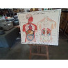 TABLEAUX DE SCIENCES ROSSIGNOL LE CORPS HUMAIN L APPAREIL DIGESTIF 12