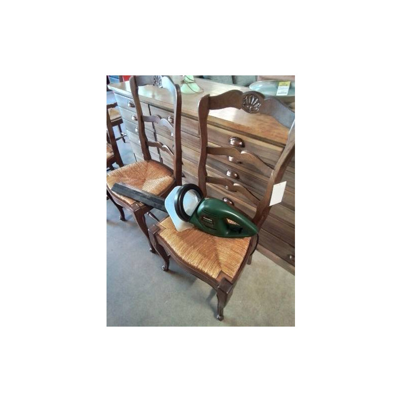 TAILLE HAIE ÉLECTRIQUE HANDY POWER 550W